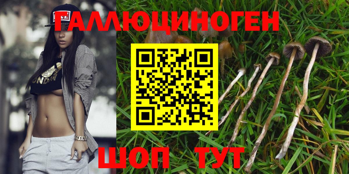 Краснокаменск  Псилоцибиновые грибы мухоморы  Вход с VPN 