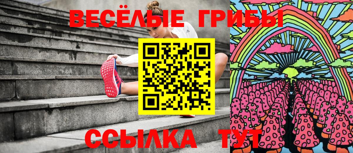 Галлюциногенные грибы GOLDEN TEACHER Краснокаменск